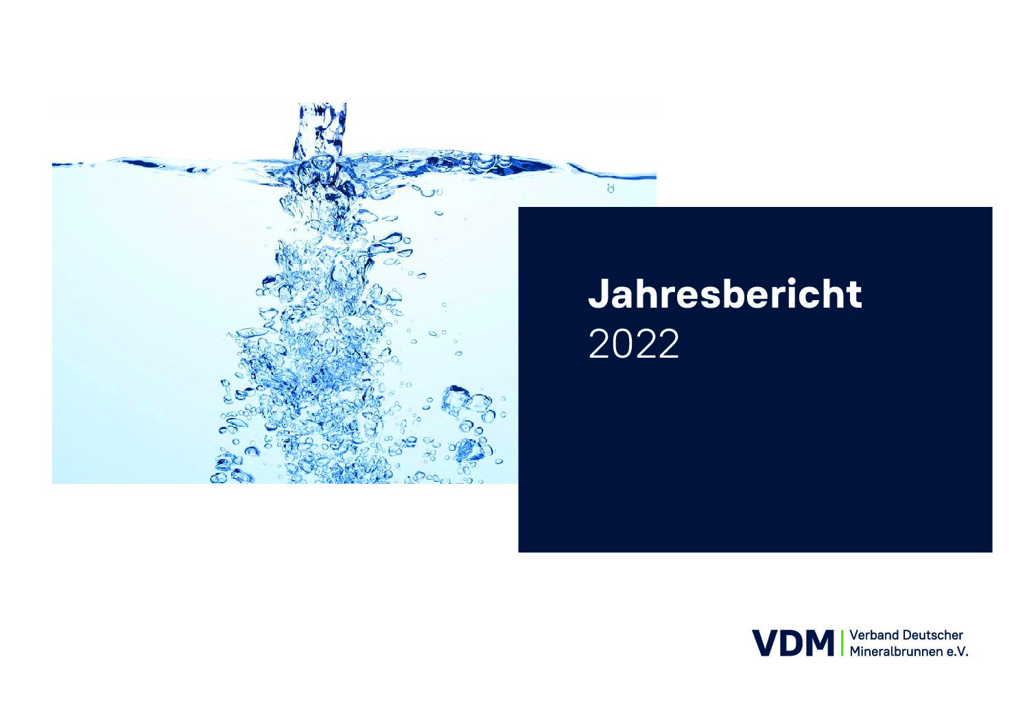 VDM-Jahresbericht 2022