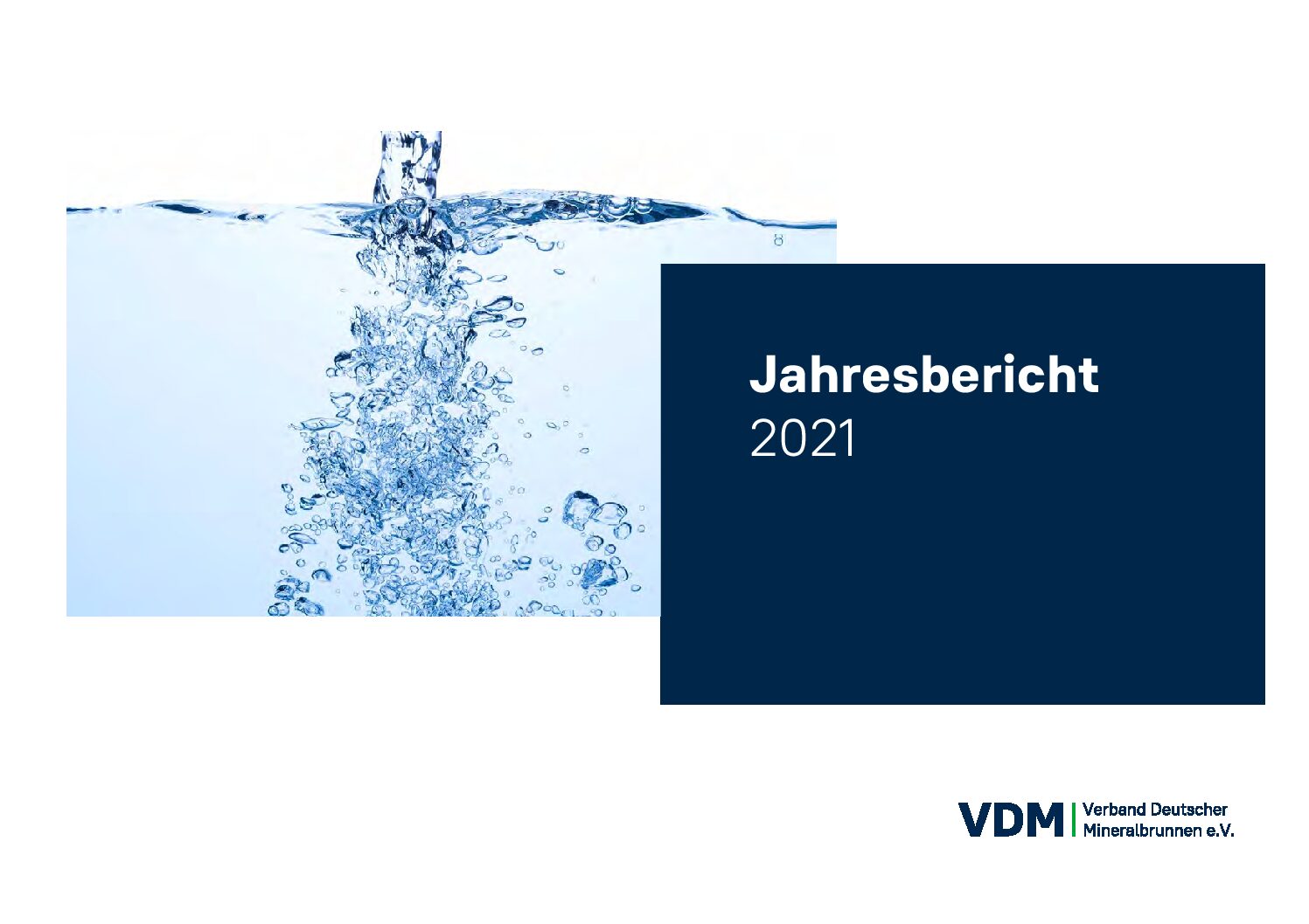 VDM-Jahresbericht 2021